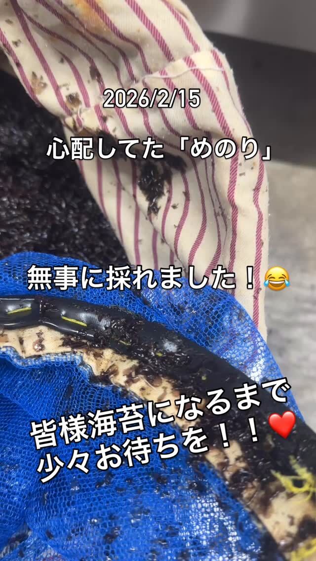 熟成生本マグロとは… | 柏島ヴィレッジ【公式】